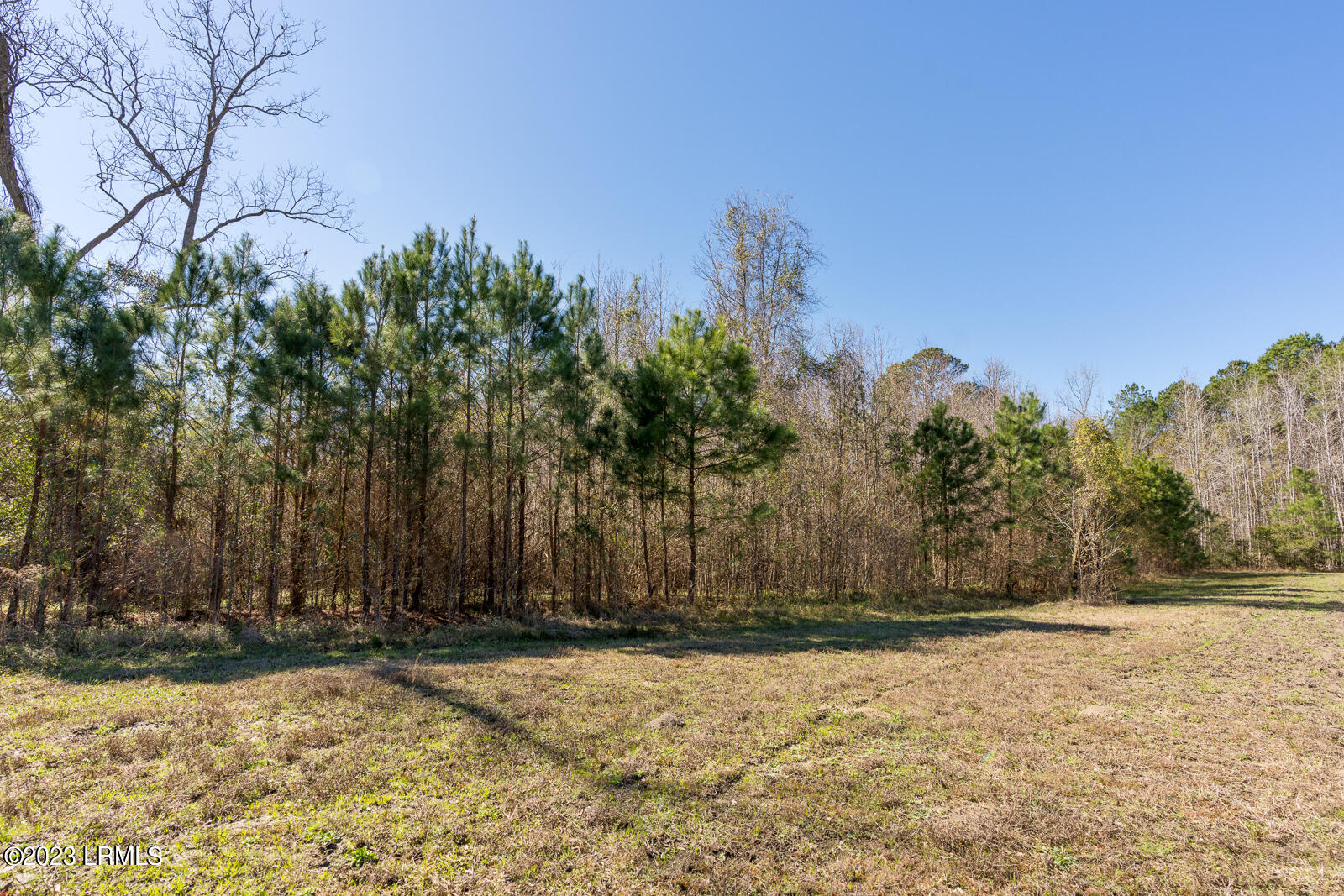Tbd Terry Road Yemassee, SC 29945 - Photo 8 of 11 Six