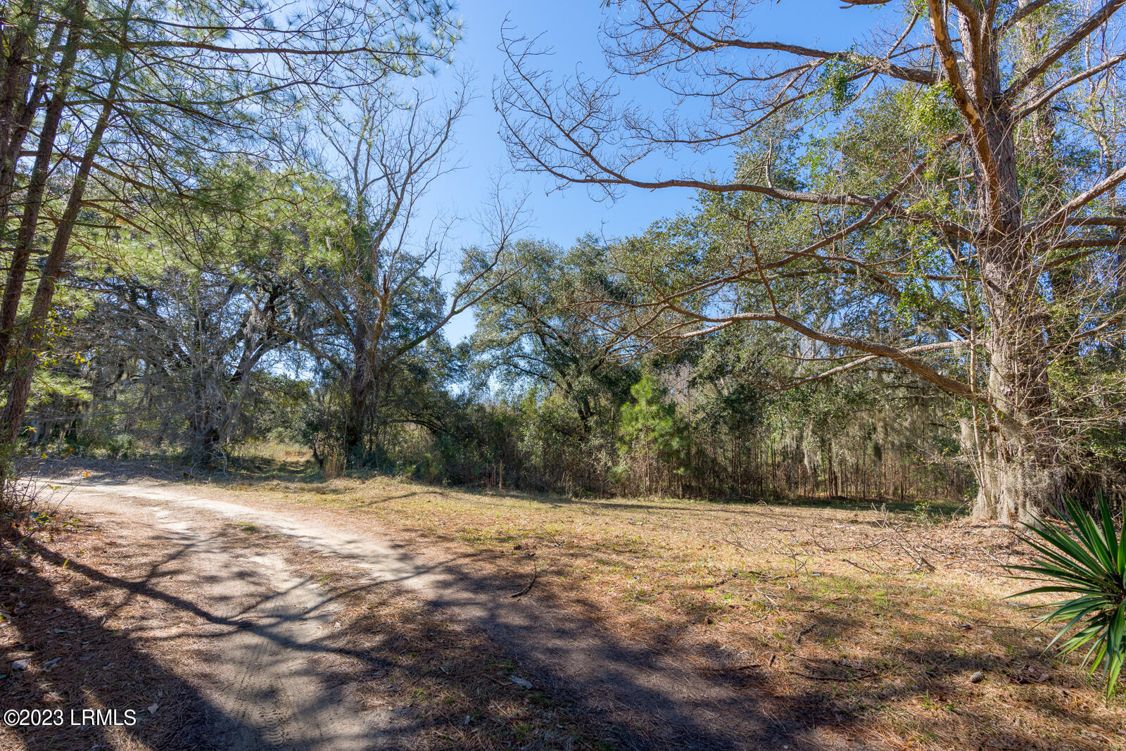 Tbd Terry Road Yemassee, SC 29945 - Photo 9 of 11 Ten