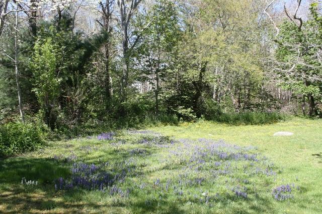593 Long Pond Road Brewster, MA 02631 - Photo 18 of 18 Additional Photo