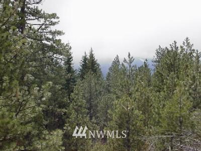 3 L Cle Elum Ridge Road Ronald, WA 98940 - Photo 1 of 1 Gallery Image 1