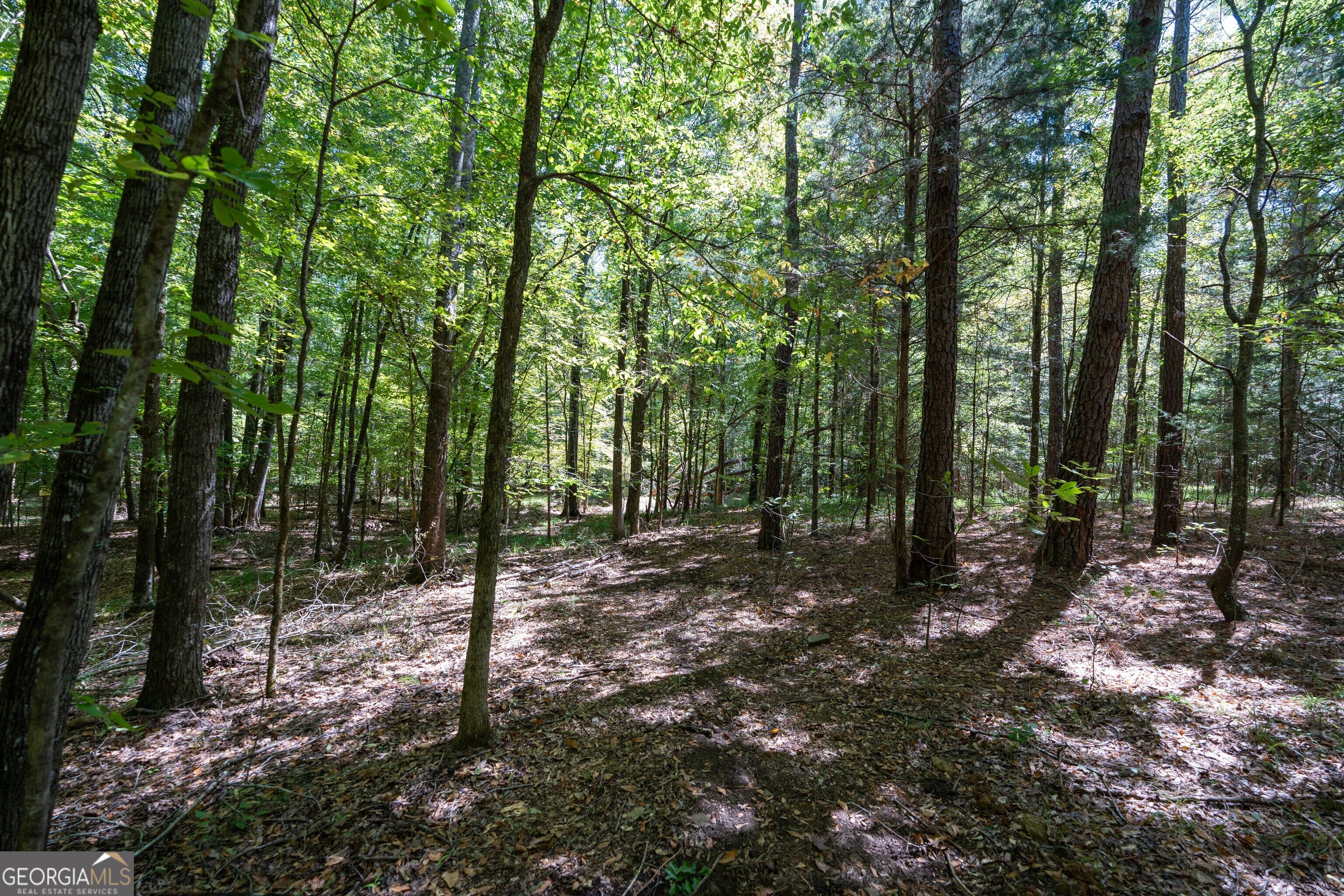 1419 Bobby Brown State Park Road Elberton, GA 30635 - Photo 45 of 90 Gallery Image 45