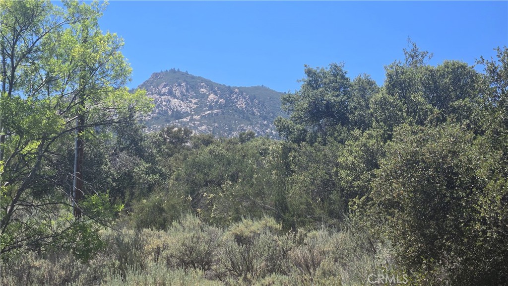 38375 Indian Road Anza, CA 92539 - Photo 6 of 8 View of Mtns to the west