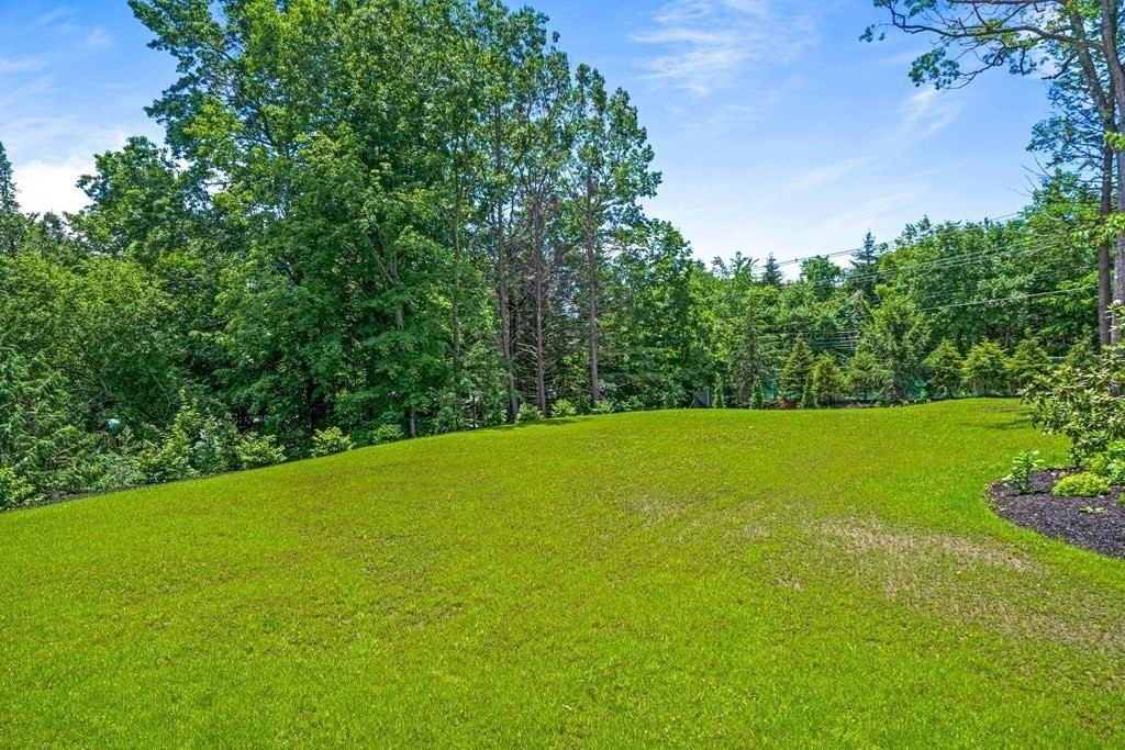 700 Chestnut Street Needham, MA 02492 - Photo 33 of 34