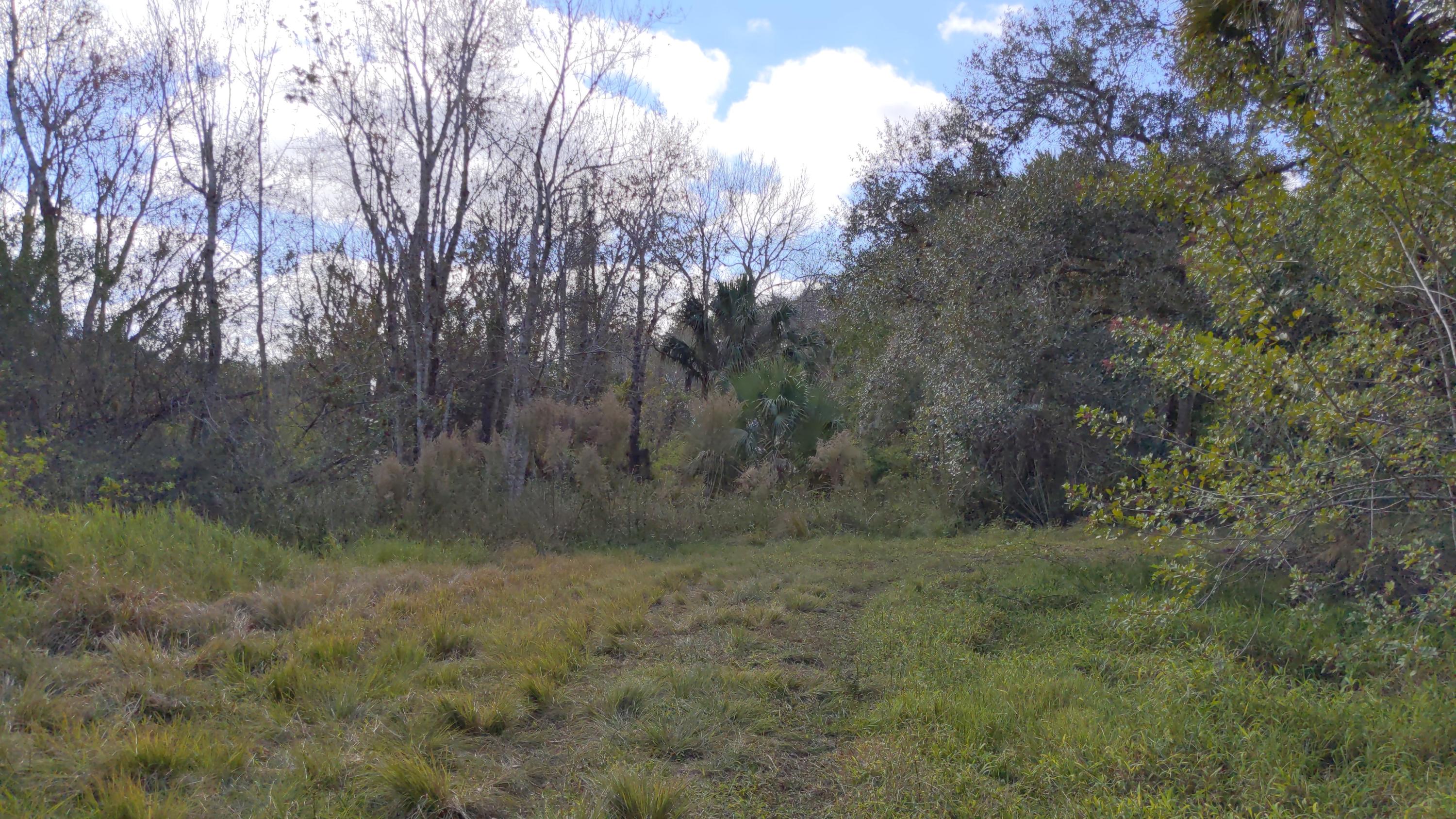7851 Southwest Fox Brown Road Indiantown, FL 34956 - Photo 48 of 67 IMG_20210109_114240