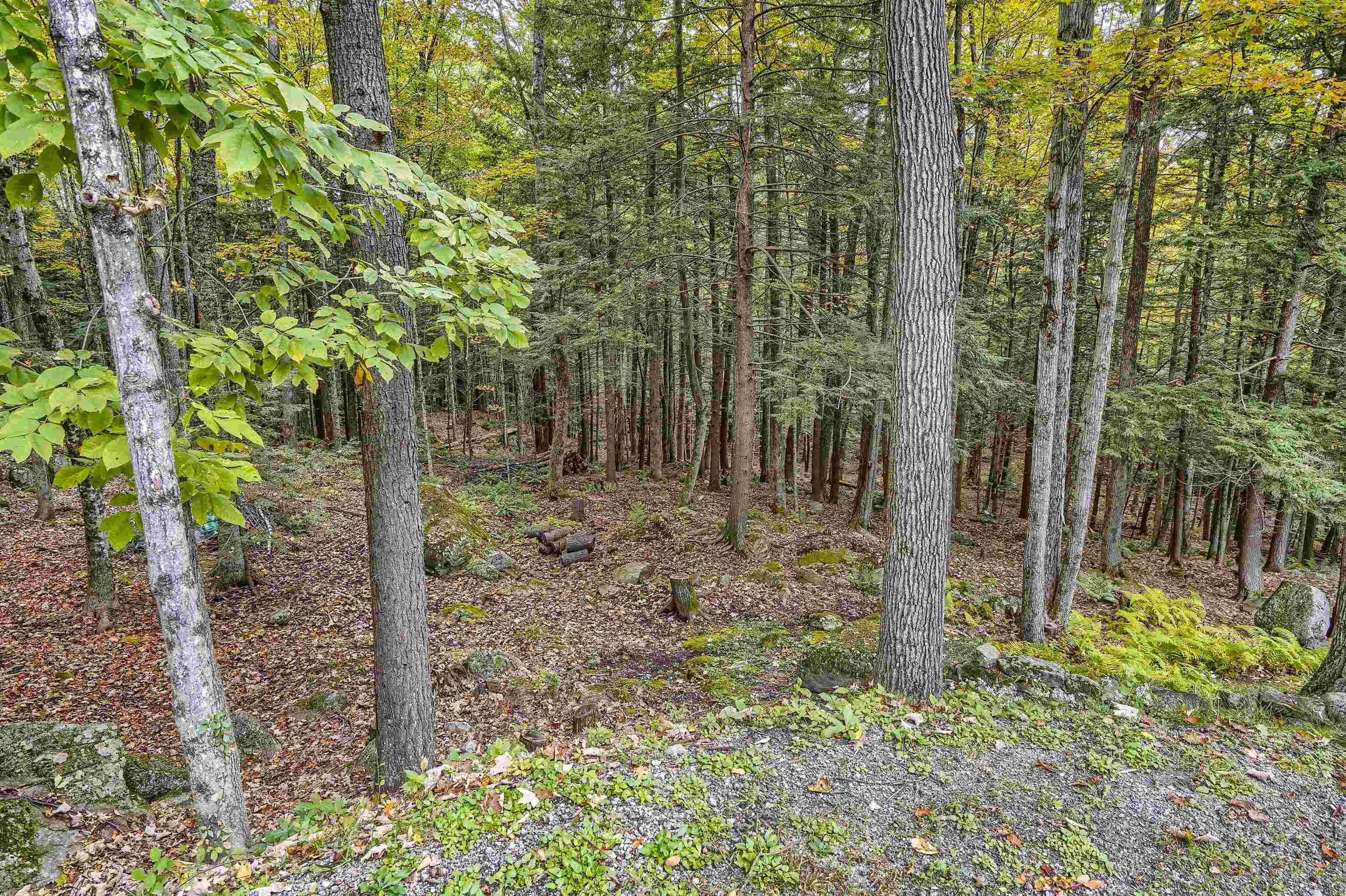 190 Pine Hill Road Weare, NH 03281 - Photo 5 of 36 Gallery Image 5