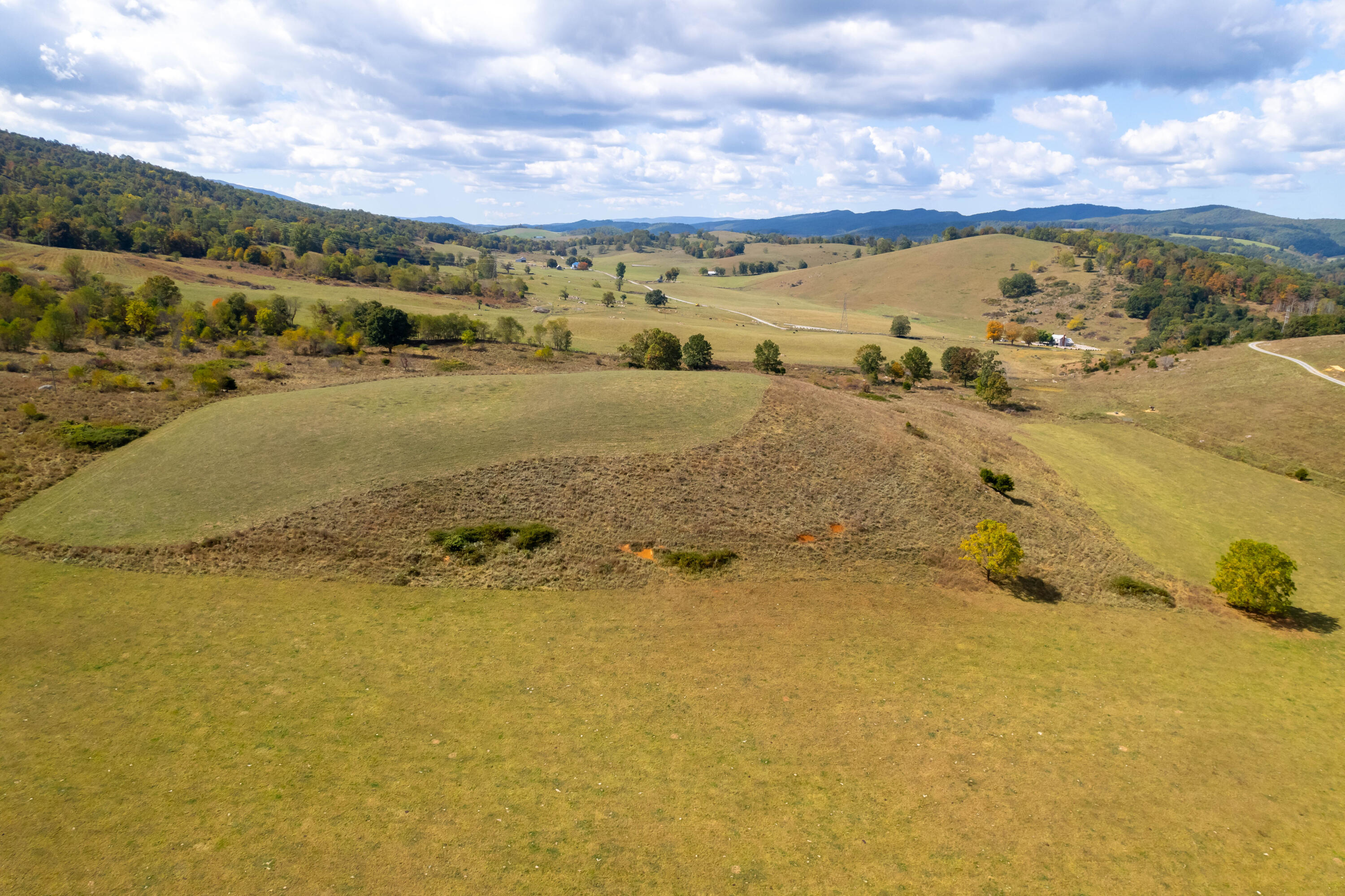 4210 Skydusky Road Bland, VA 24315 - Photo 15 of 44 4210 Skydusky Rd 38