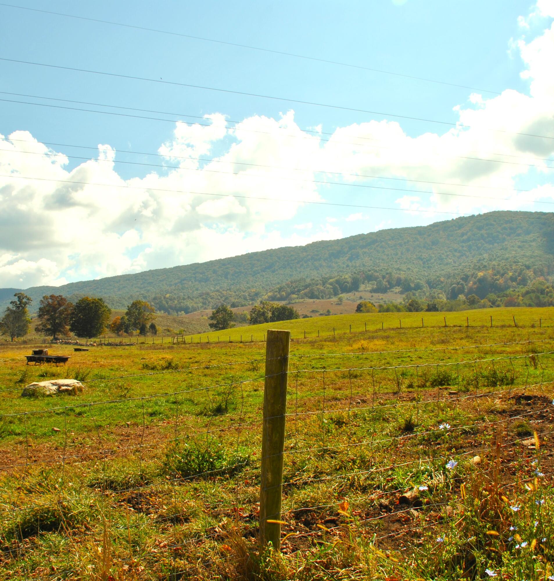 4210 Skydusky Road Bland, VA 24315 - Photo 32 of 44 DSC_0235