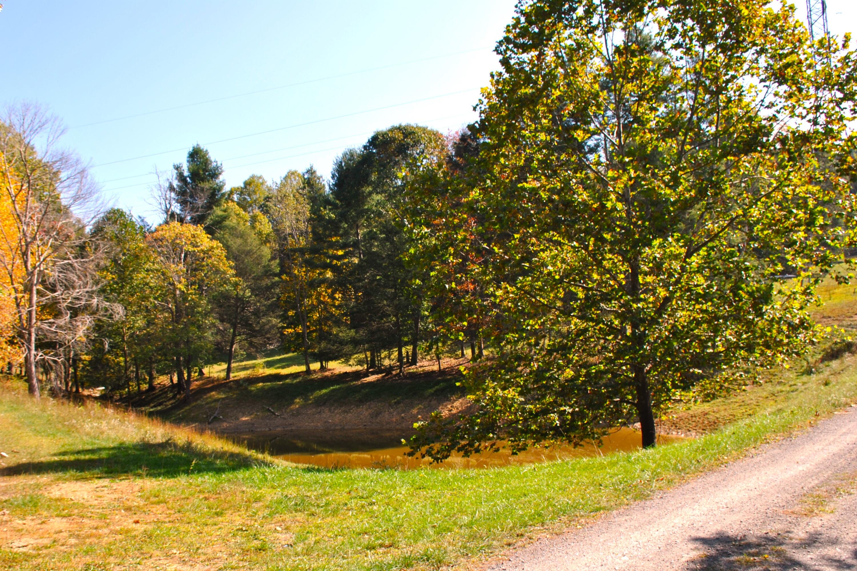 4210 Skydusky Road Bland, VA 24315 - Photo 33 of 44 DSC_0123
