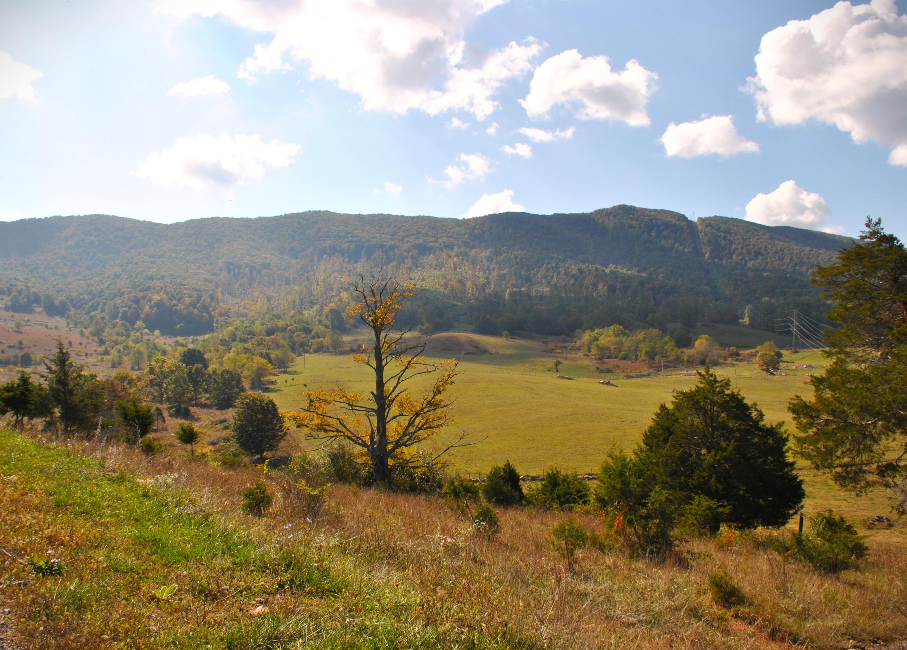 4210 Skydusky Road Bland, VA 24315 - Photo 35 of 44 DSC_0133