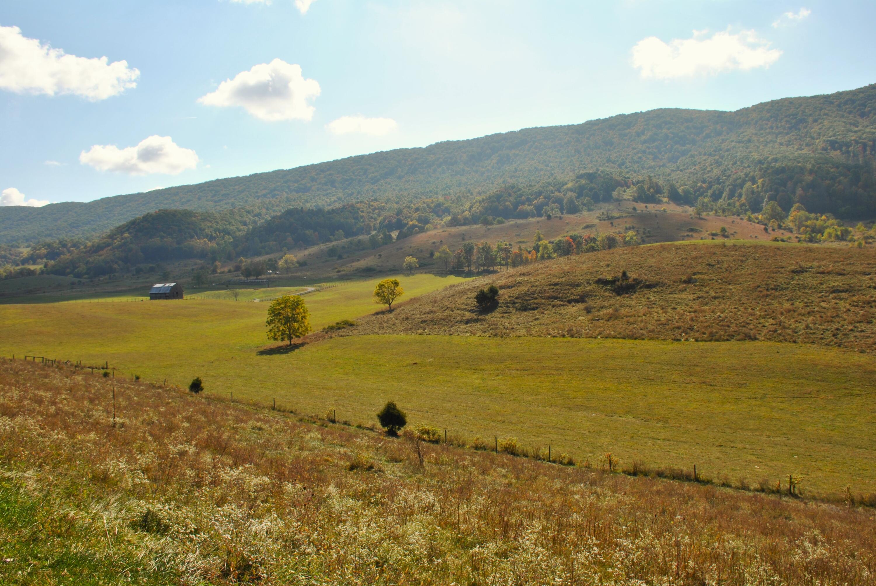 4210 Skydusky Road Bland, VA 24315 - Photo 37 of 44 DSC_0144
