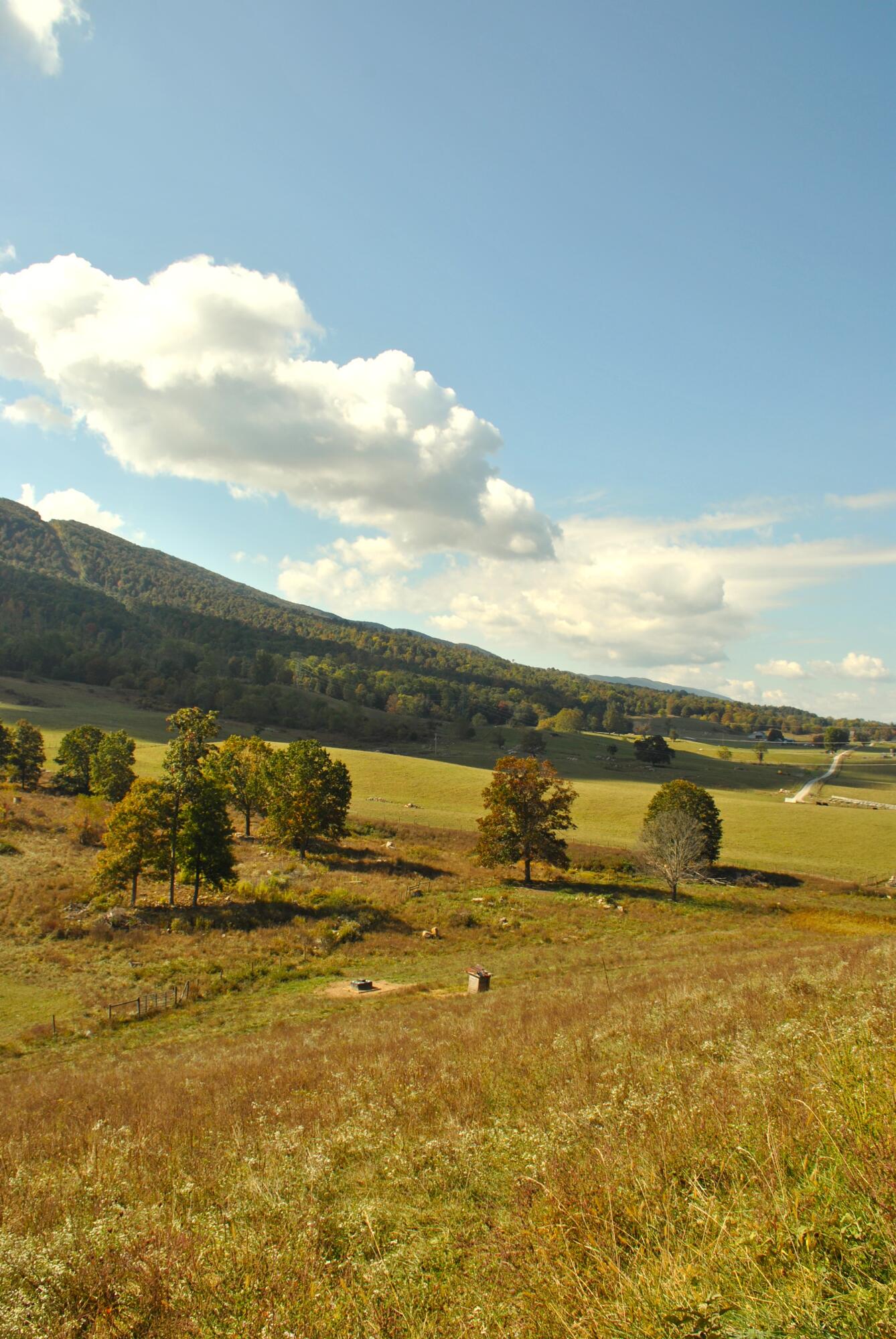 4210 Skydusky Road Bland, VA 24315 - Photo 38 of 44 DSC_0145