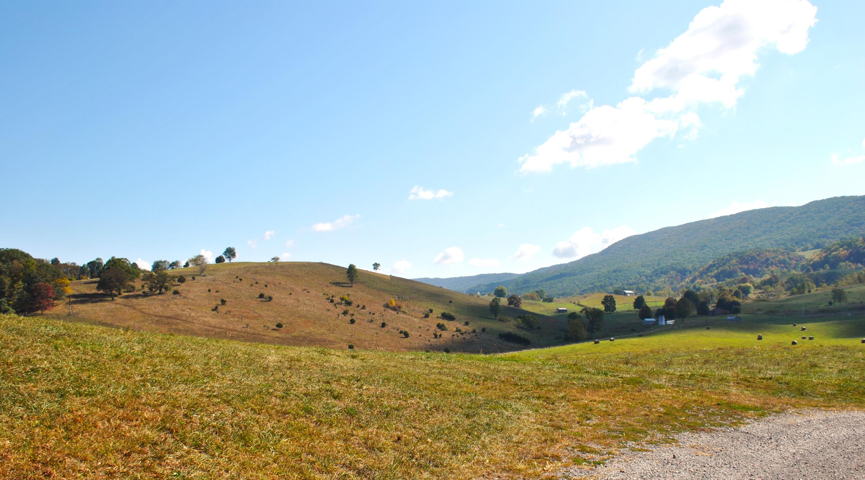 4210 Skydusky Road Bland, VA 24315 - Photo 39 of 44 DSC_0153
