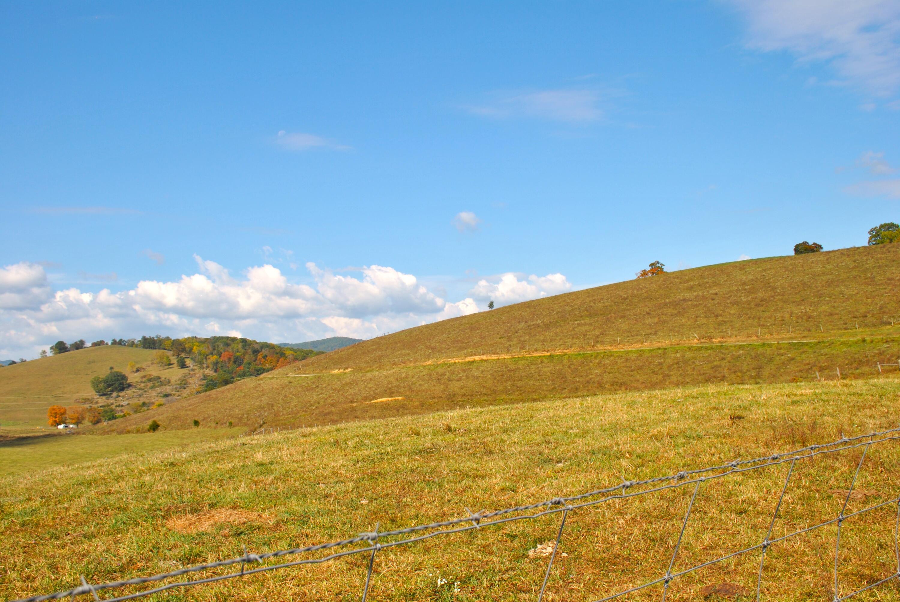 4210 Skydusky Road Bland, VA 24315 - Photo 41 of 44 DSC_0164