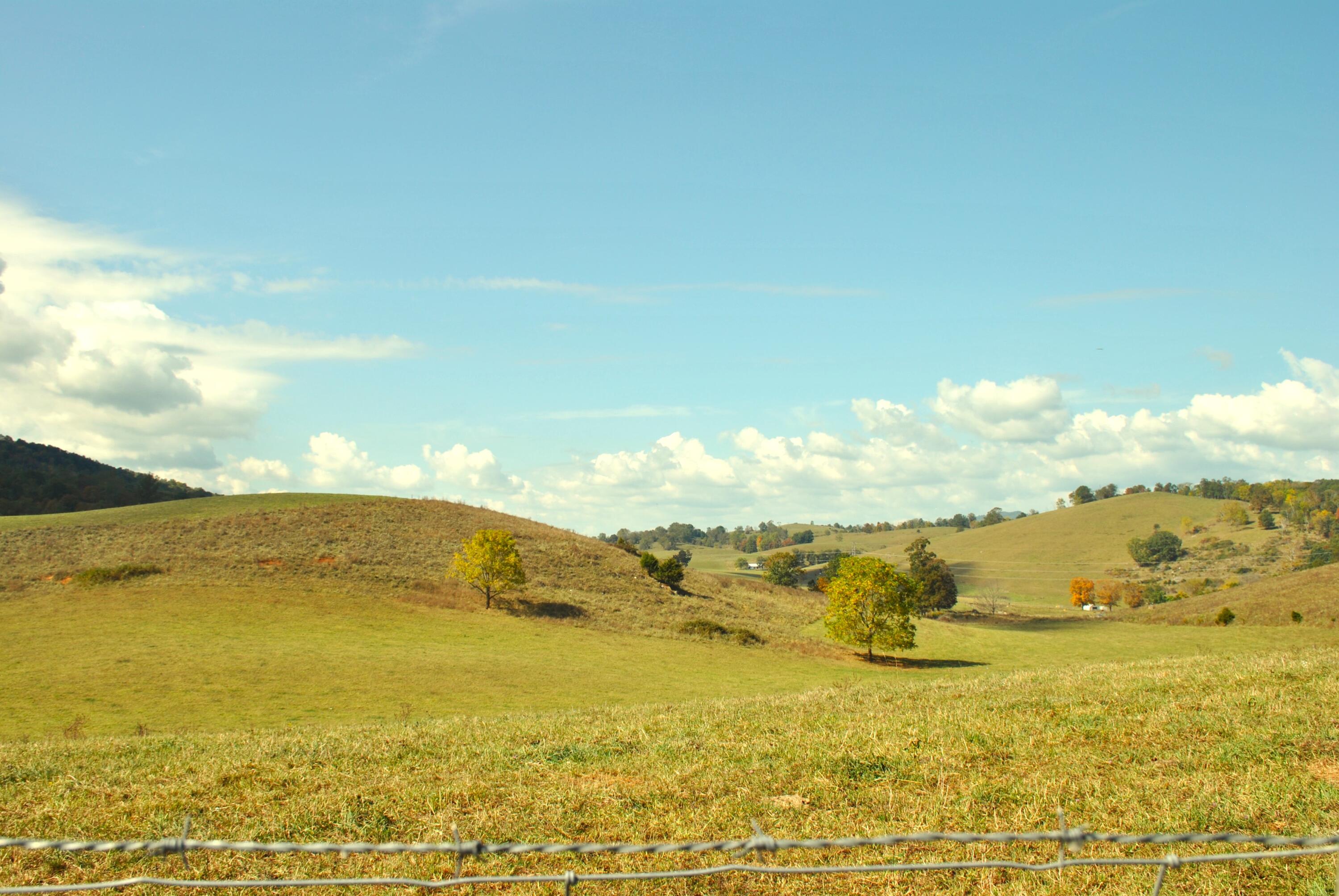 4210 Skydusky Road Bland, VA 24315 - Photo 42 of 44 DSC_0165