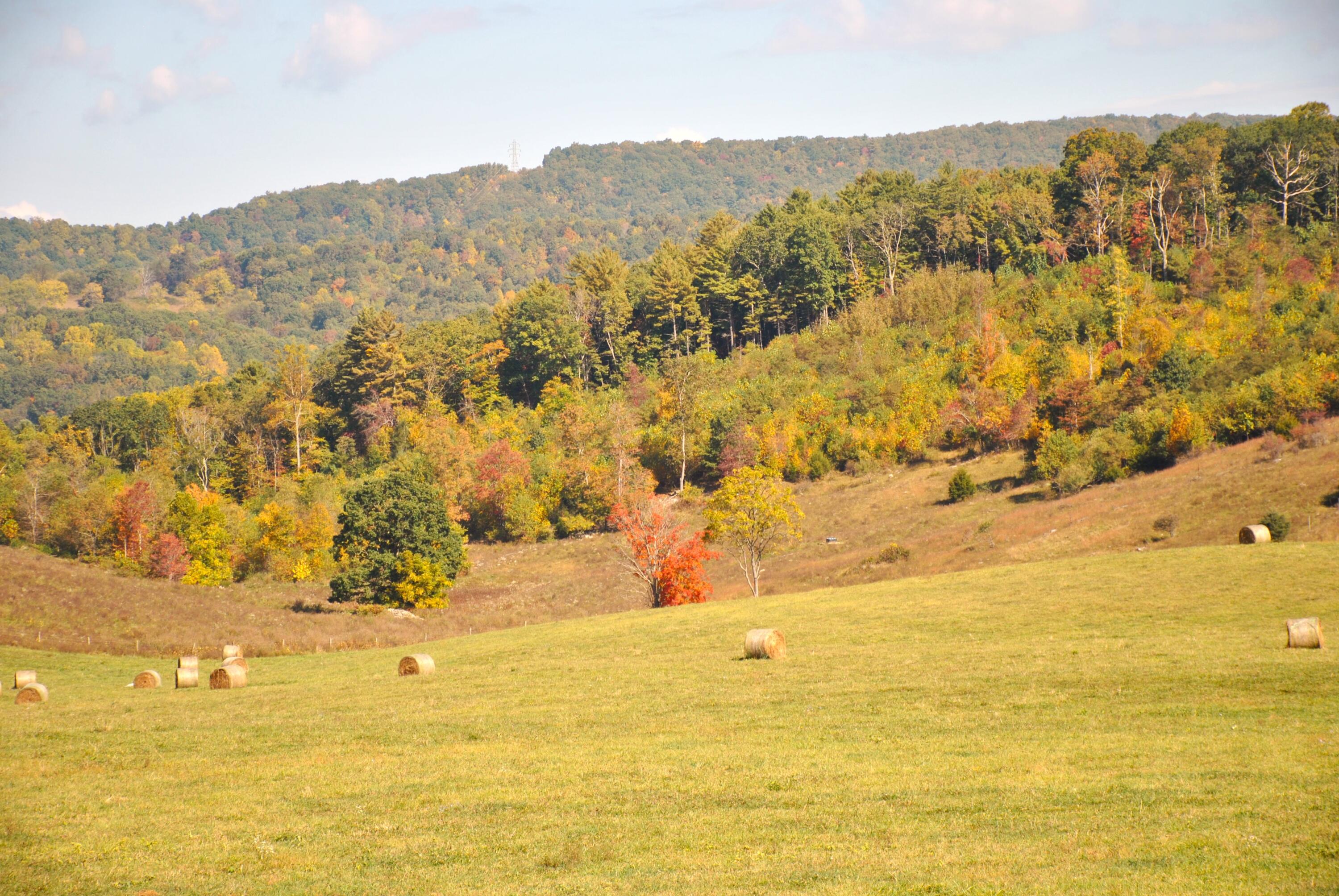 4210 Skydusky Road Bland, VA 24315 - Photo 44 of 44 DSC_0182