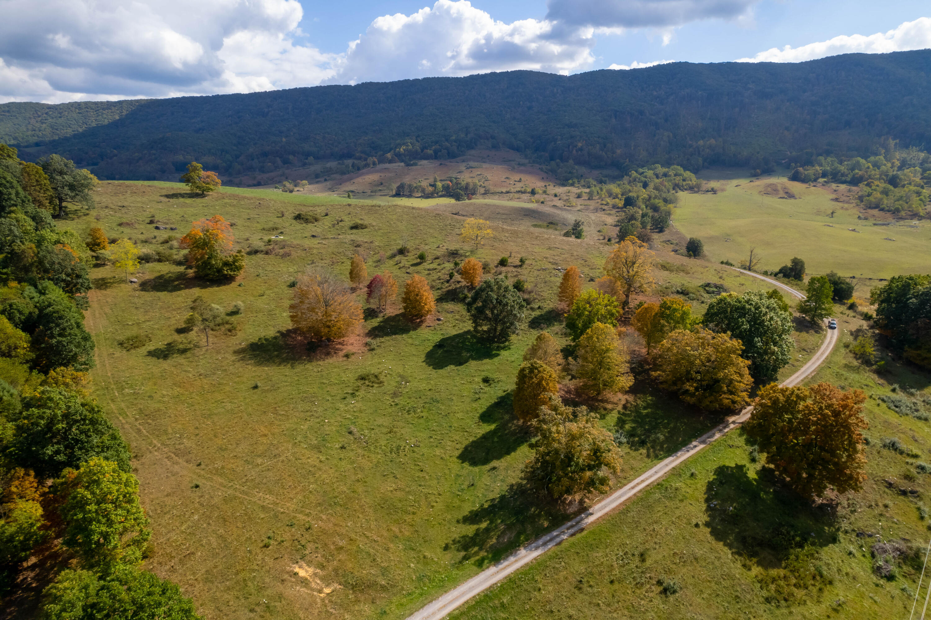4210 Skydusky Road Bland, VA 24315 - Photo 6 of 44 4210 Skydusky Rd 17