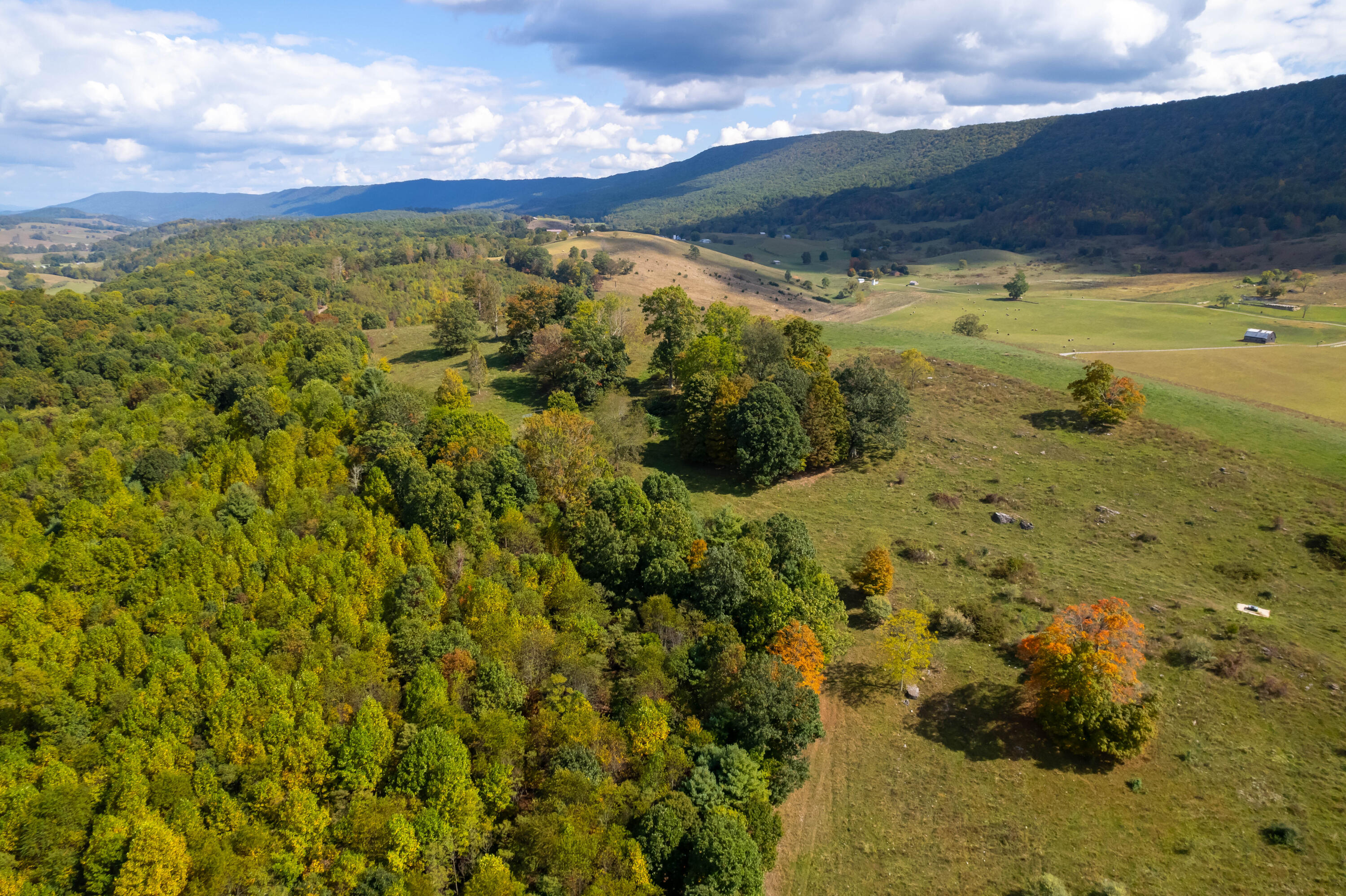 4210 Skydusky Road Bland, VA 24315 - Photo 7 of 44 4210 Skydusky Rd 18