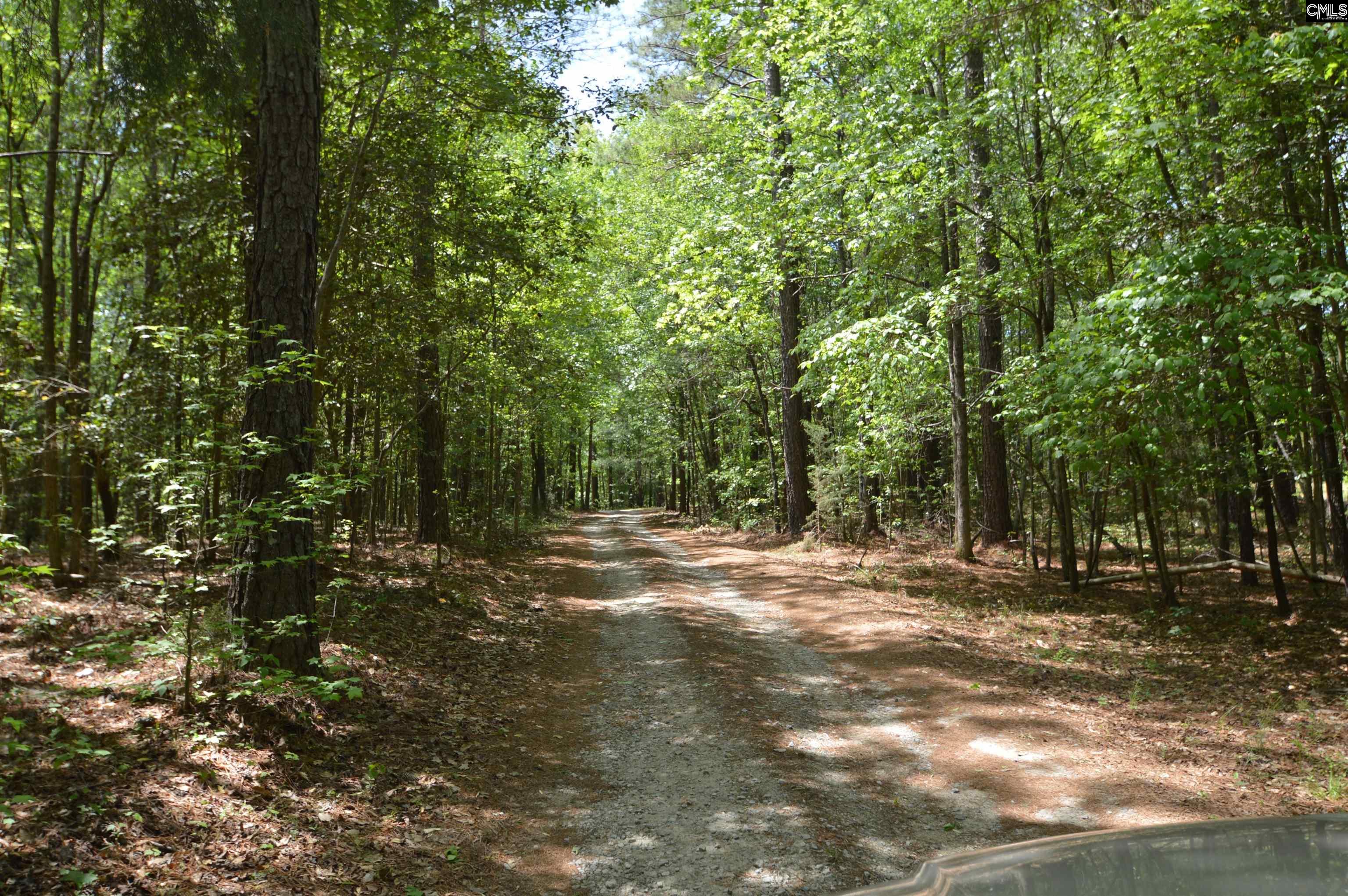 388 State Rd S-28-101 Elgin, SC 29045 - Photo 11 of 55
