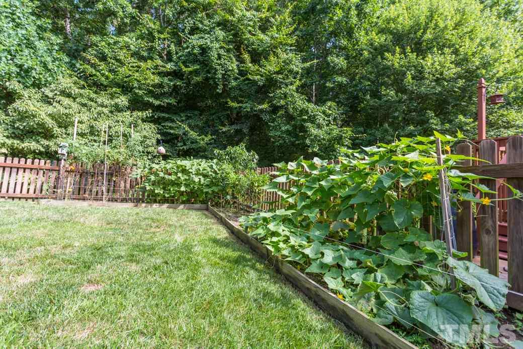 8620 Erinsbrook Drive Raleigh, NC 27617 - Photo 23 of 25 a view of a yard with a tree