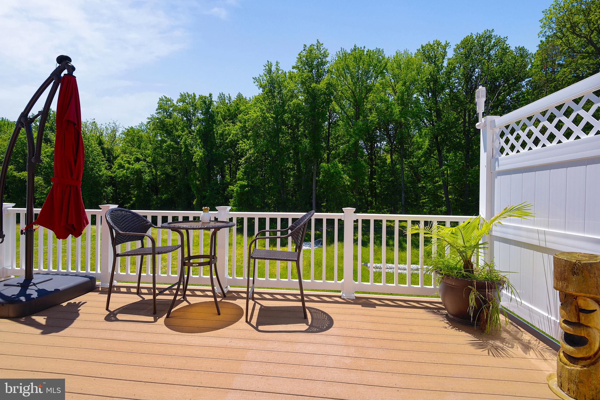 908 Morgan Run Road Baltimore, MD 21220 - Photo 21 of 46 Low Maintenance Trex Deck
