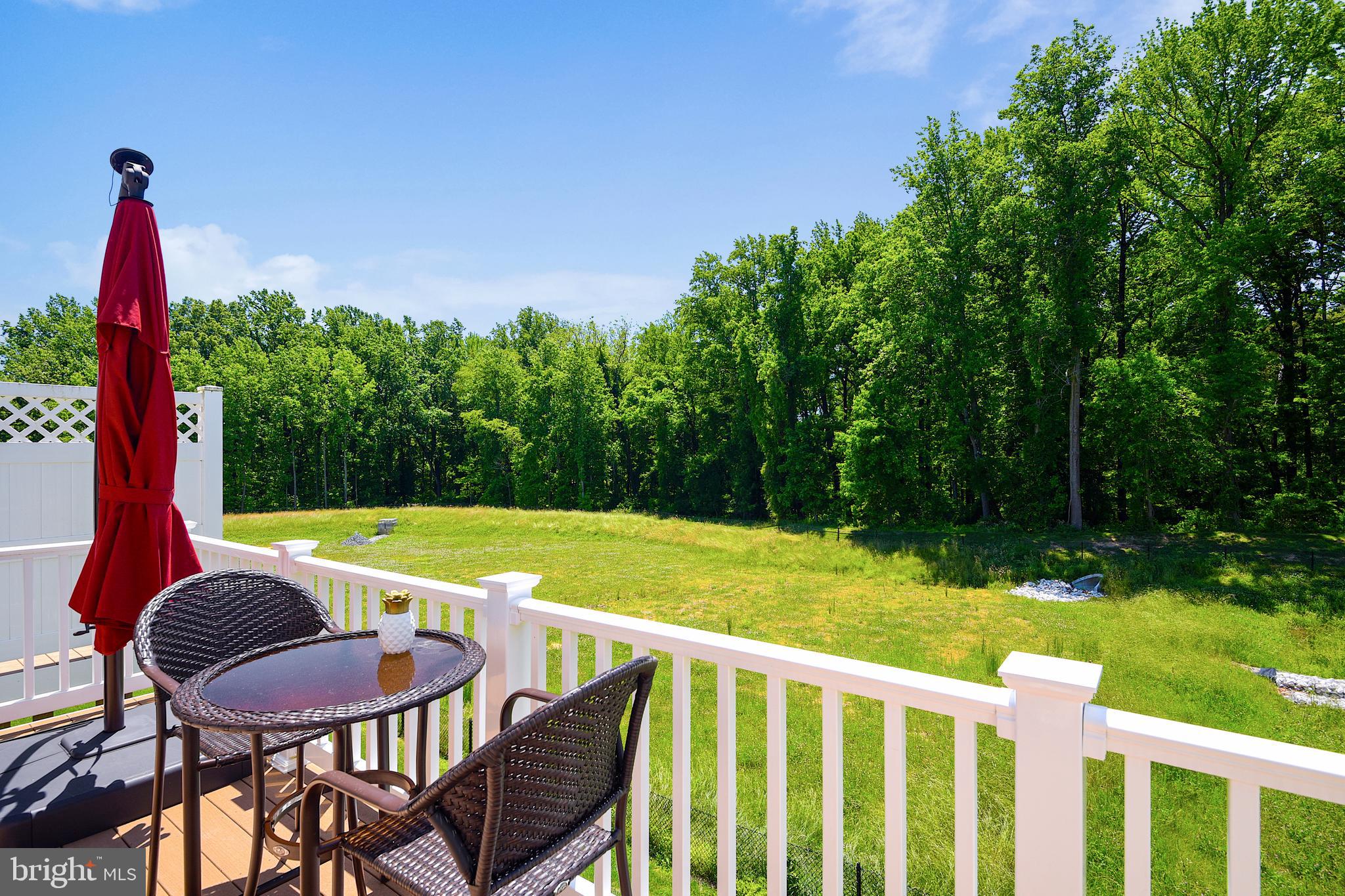 908 Morgan Run Road Baltimore, MD 21220 - Photo 22 of 46 Wooded View off Deck