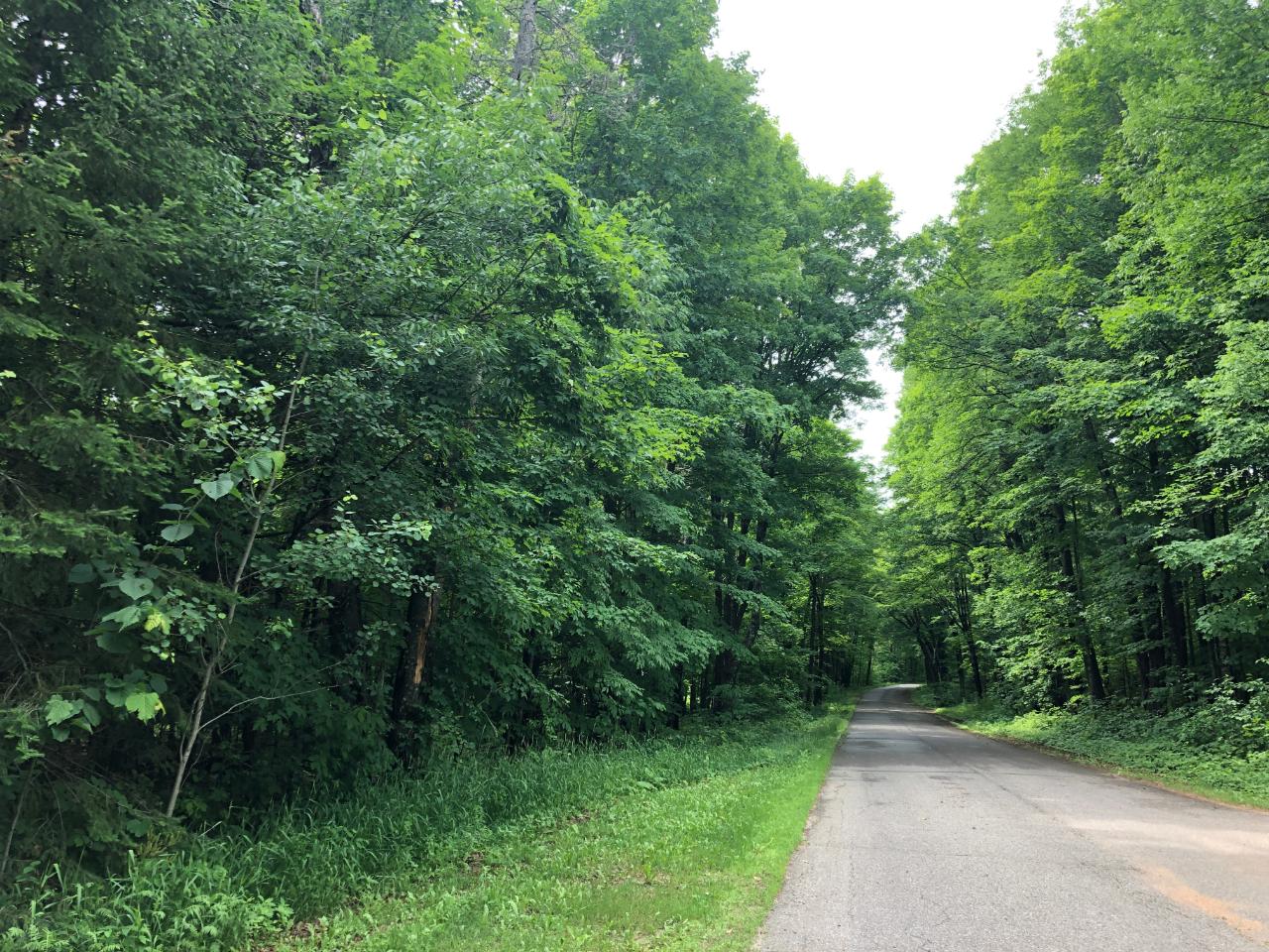 Lot #4 Columbus Lake Road, Unit ON Eagle River, WI 54521 - Photo 10 of 19 Gallery Image 10