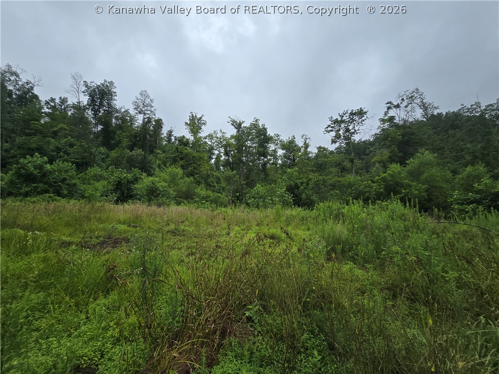 0 Charleston Road Spencer, WV 25276 - Photo 1 of 9 Gallery Image 1