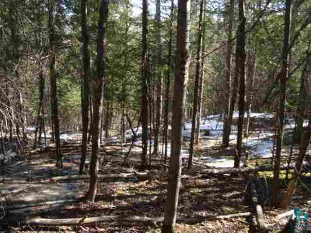 29.62-acres Off South Edstrom Road South Range, WI 54874 - Photo 11 of 25