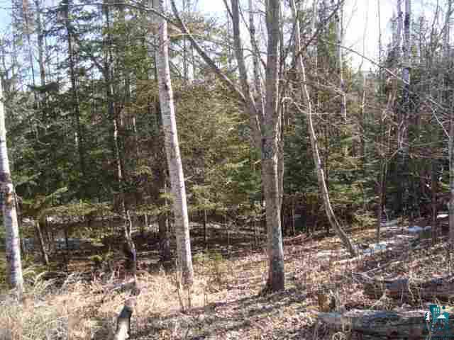 29.62-acres Off South Edstrom Road South Range, WI 54874 - Photo 12 of 25
