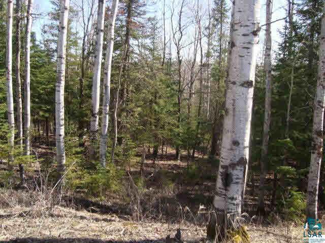 29.62-acres Off South Edstrom Road South Range, WI 54874 - Photo 15 of 25