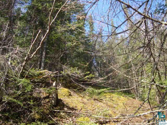 29.62-acres Off South Edstrom Road South Range, WI 54874 - Photo 21 of 25