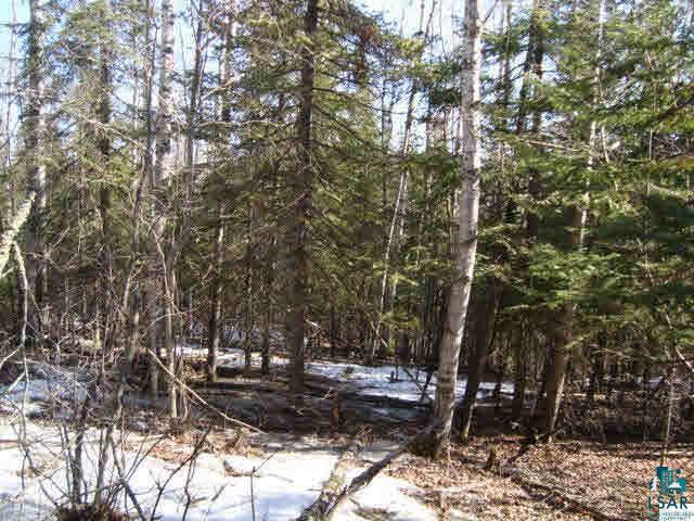 29.62-acres Off South Edstrom Road South Range, WI 54874 - Photo 23 of 25