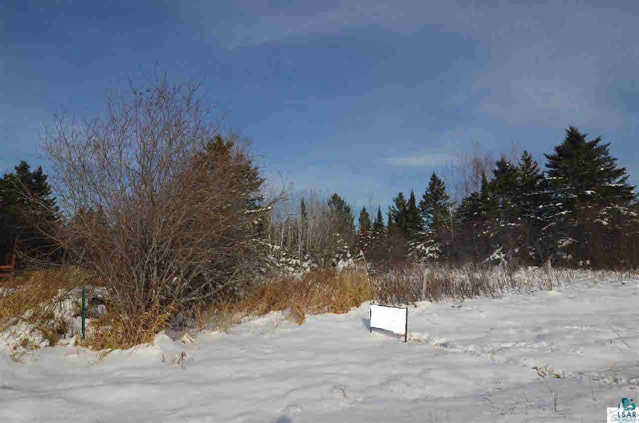29.62-acres Off South Edstrom Road South Range, WI 54874 - Photo 4 of 25