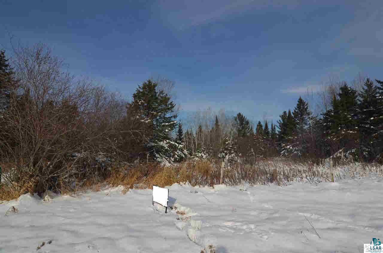 29.62-acres Off South Edstrom Road South Range, WI 54874 - Photo 8 of 25
