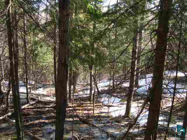29.62-acres Off South Edstrom Road South Range, WI 54874 - Photo 9 of 25