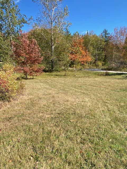 782 Pond Road Gouldsboro, ME 04607 - Photo 9 of 43 IMG_1327