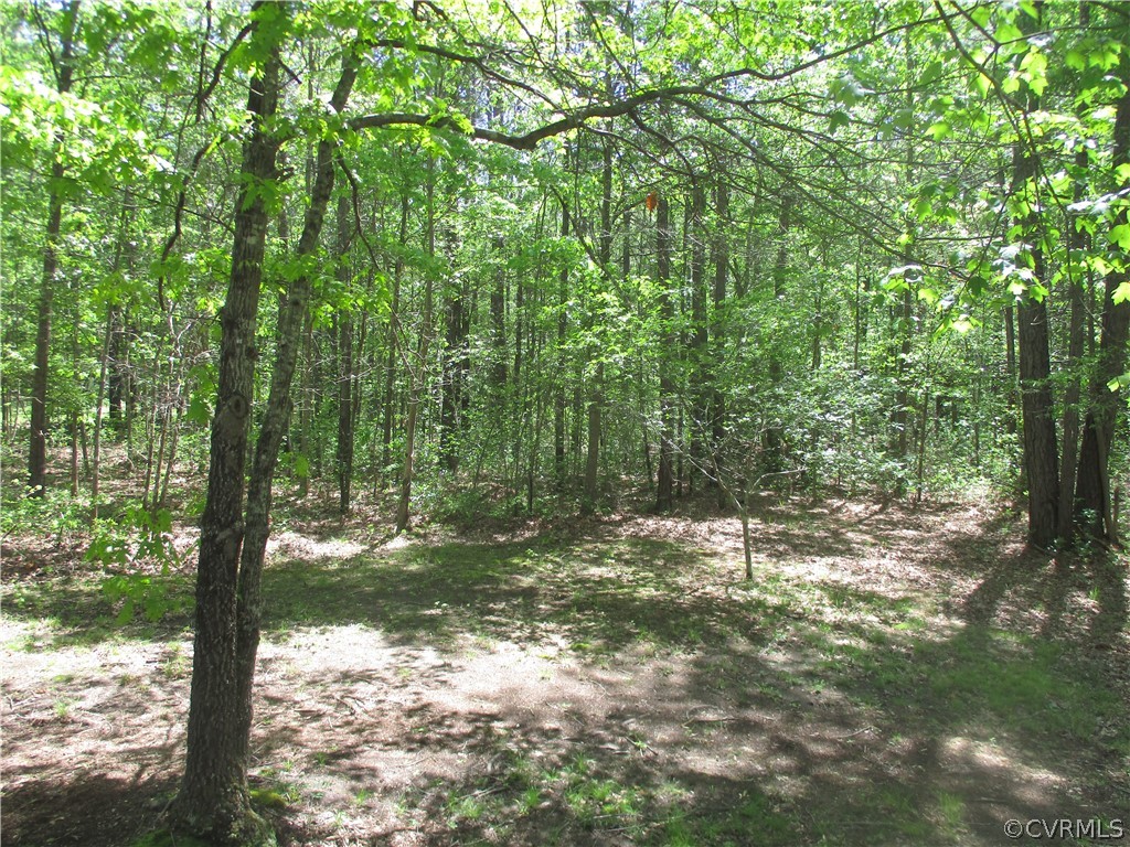 7831 Woodpecker Road Chesterfield, VA 23838 - Photo 45 of 48 Gallery Image 45