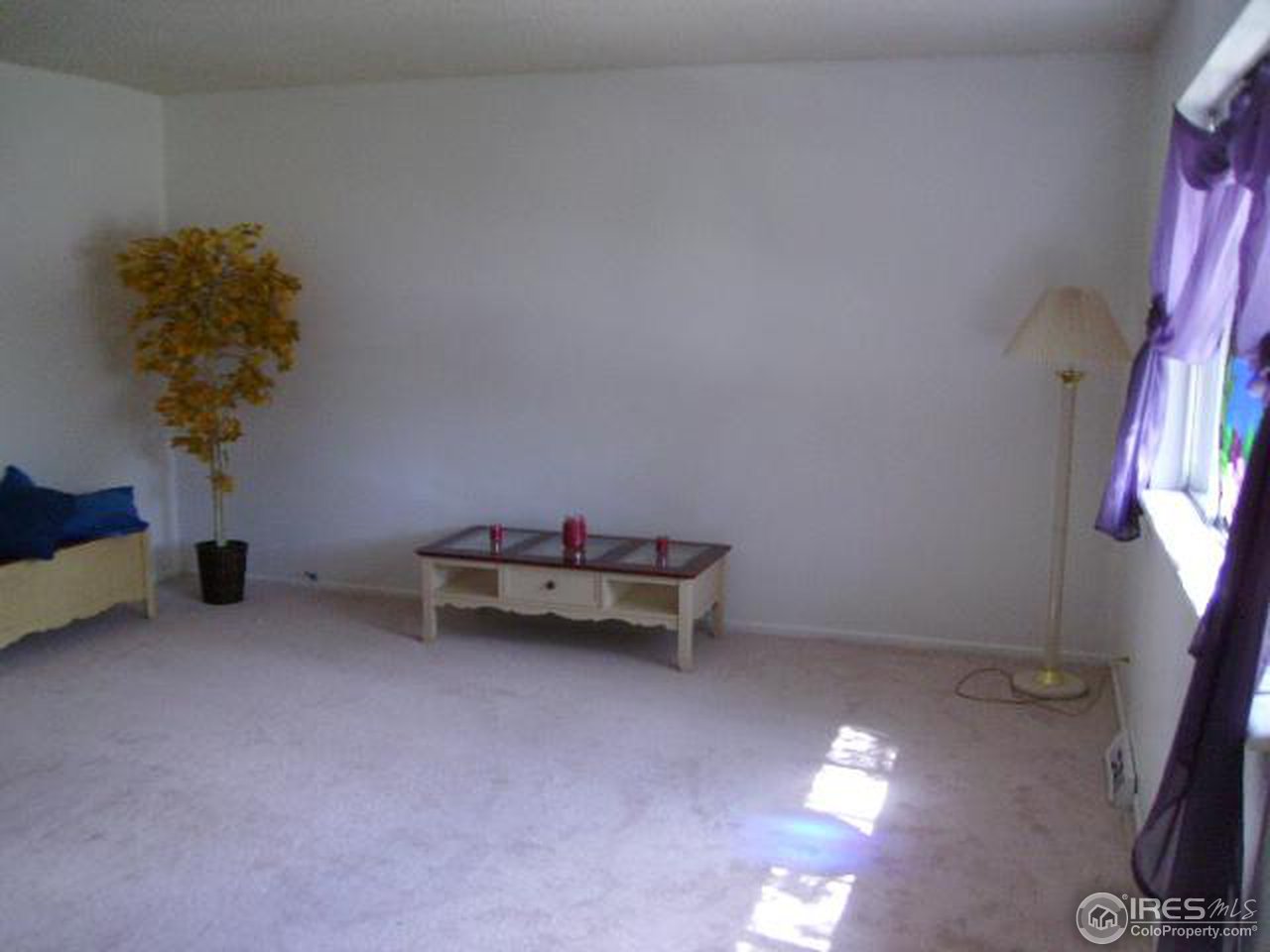 809 Tyler Street Fort Collins, CO 80521 - Photo 3 of 18 Gallery Image 3