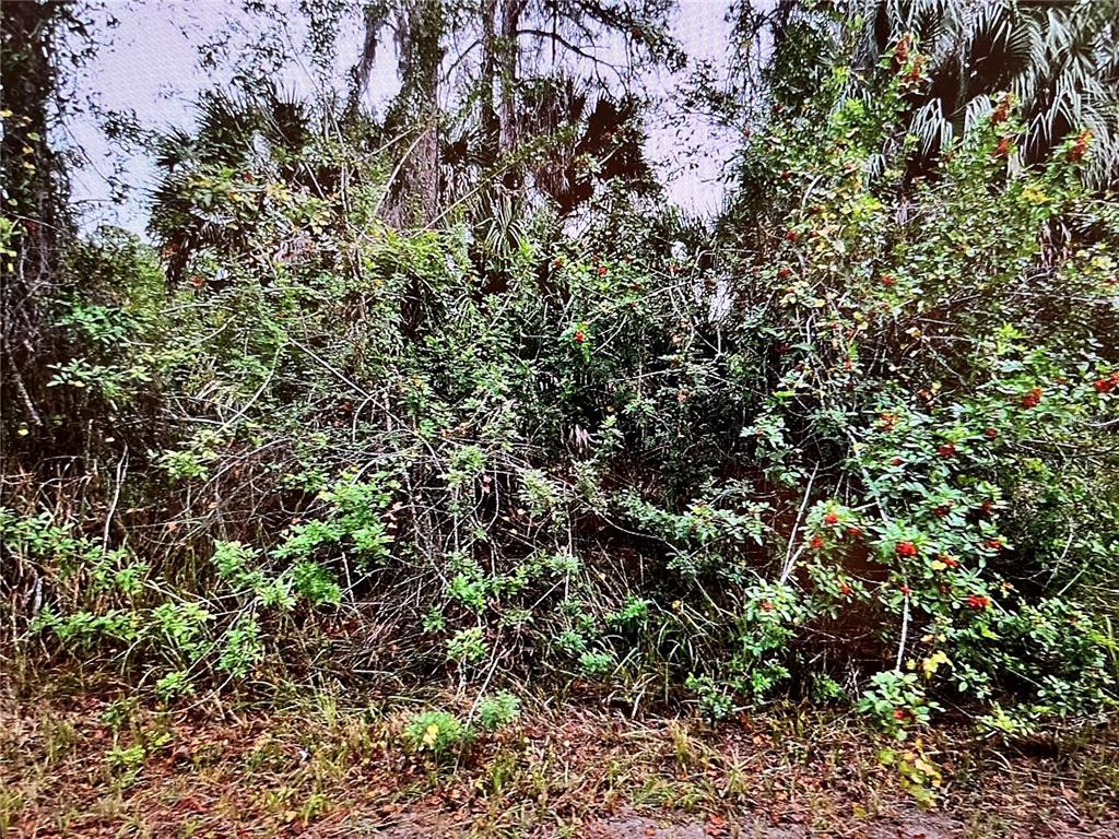 24 Campbell Street North Port, FL 34288 - Photo 2 of 3 a view of a tree