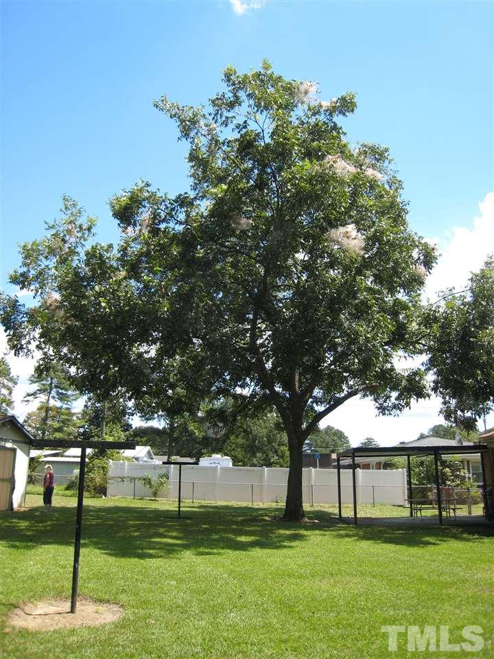 3712 Allen Street West Raleigh, NC 27603 - Photo 23 of 23 a view of a big yard with a tree