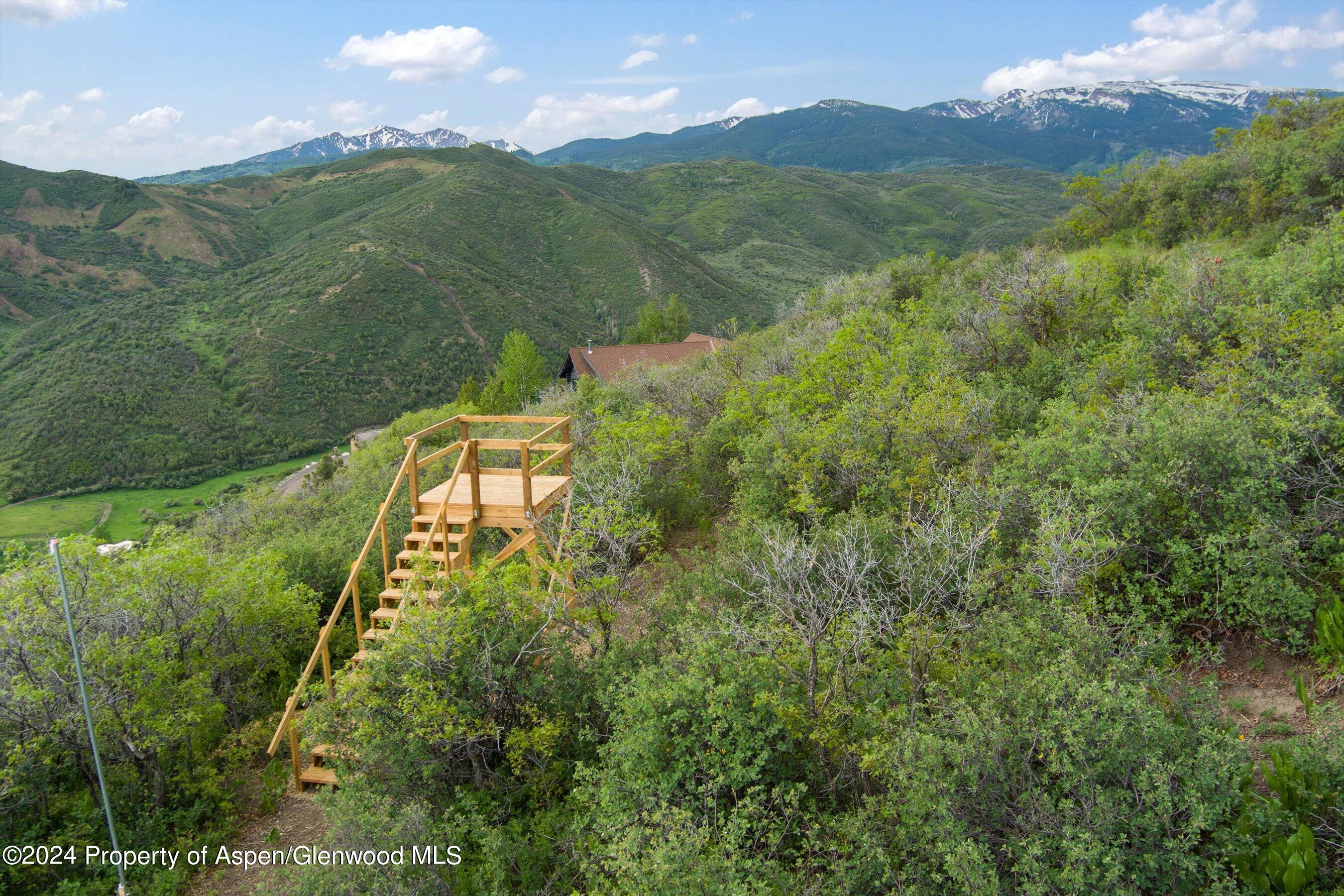 148 Tabula Rasa Lane Aspen, CO 81611 - Photo 12 of 15 a view of a lush green forest with a mountain