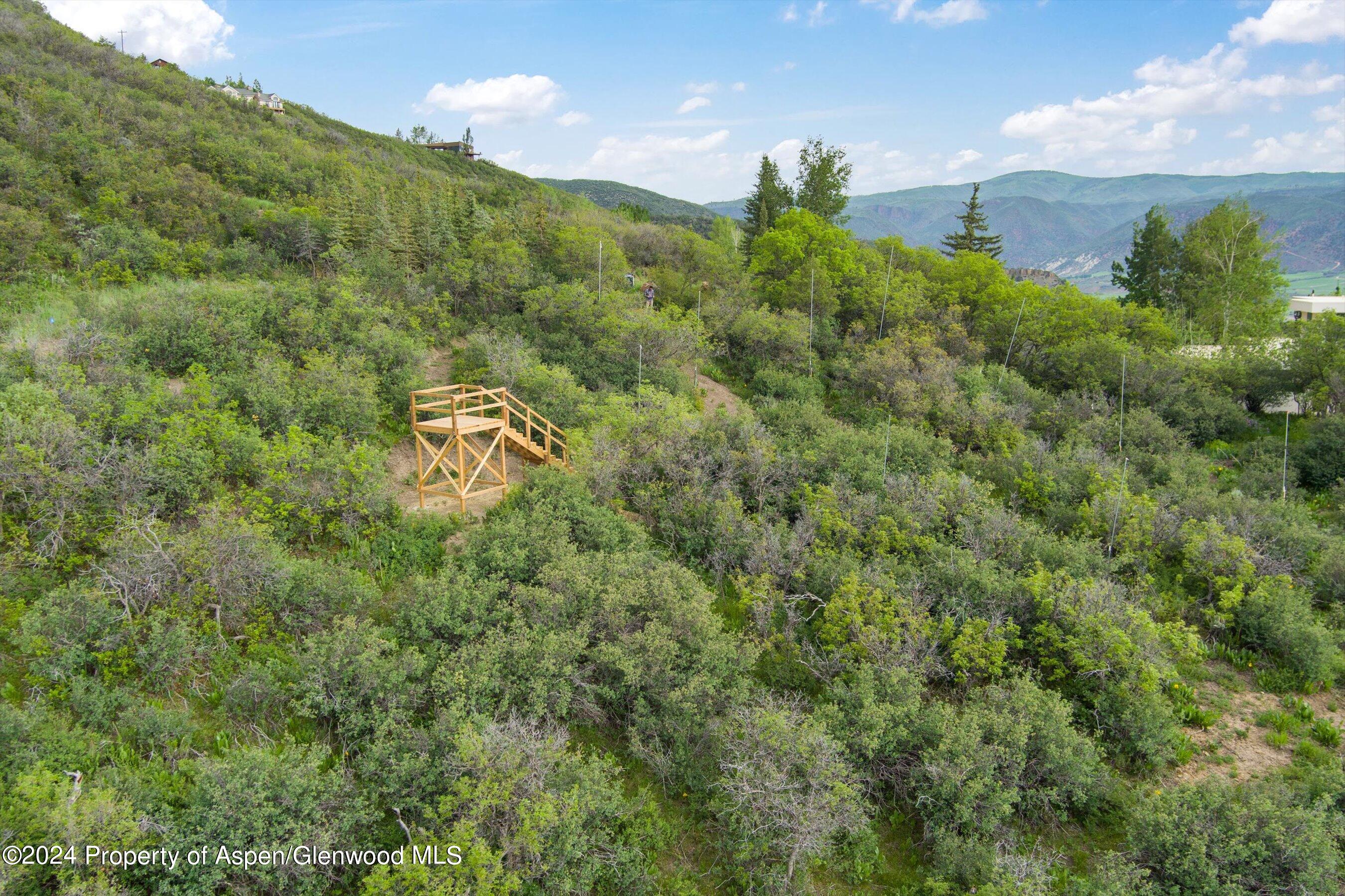 148 Tabula Rasa Lane Aspen, CO 81611 - Photo 15 of 15 a view of a bunch of trees and bushes