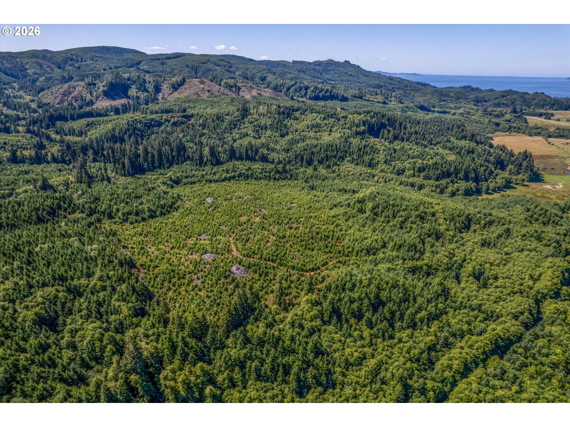 West Valley Road Rosburg, WA 98643 - Photo 13 of 14 a view of a lush green hillside and houses