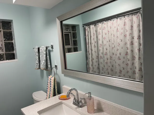 a bathroom with a sink and toilet