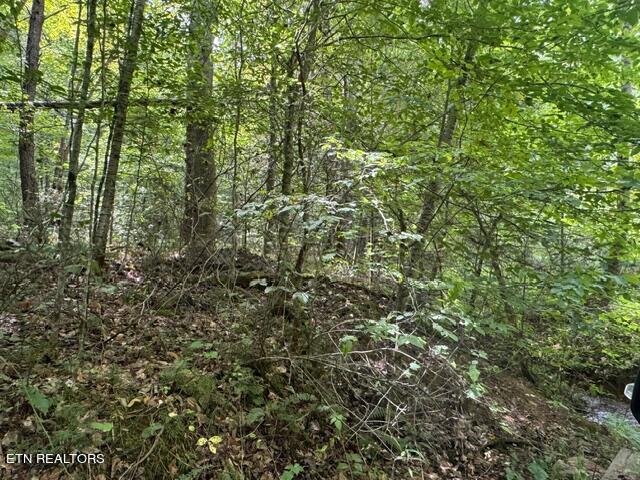 Vixen Way Cosby, TN 37722 - Photo 2 of 7 image1 (3)