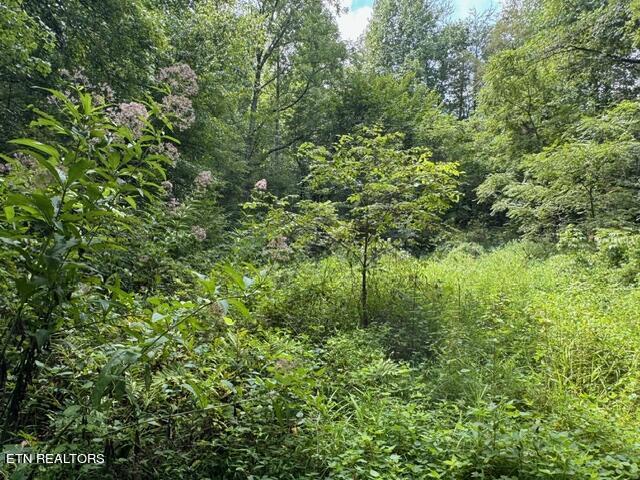 Vixen Way Cosby, TN 37722 - Photo 3 of 7 image2 (2)