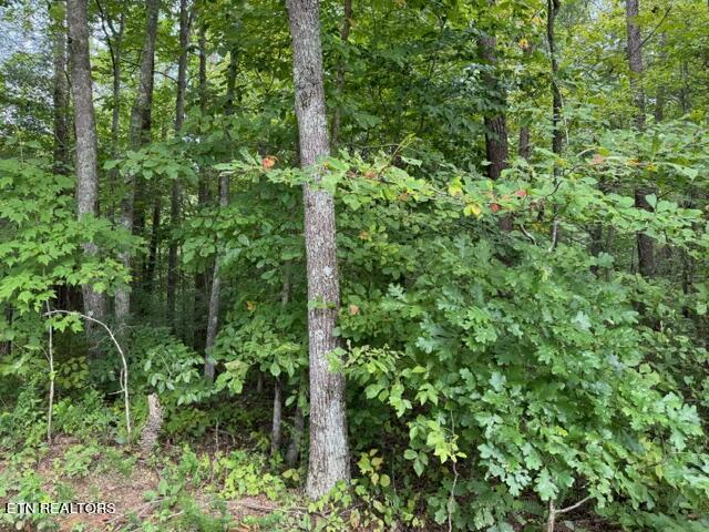 Vixen Way Cosby, TN 37722 - Photo 5 of 7 image4 (1)