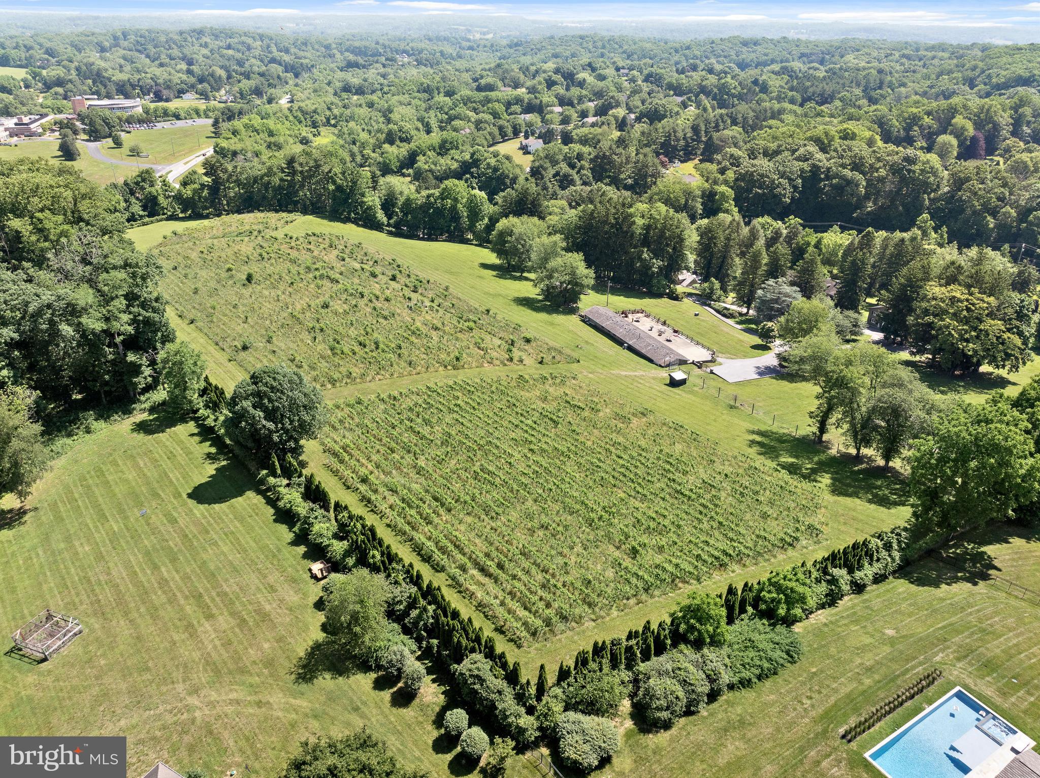 1740 Lenape Road West Chester, PA 19382 - Photo 109 of 120 Award Winning Grapes