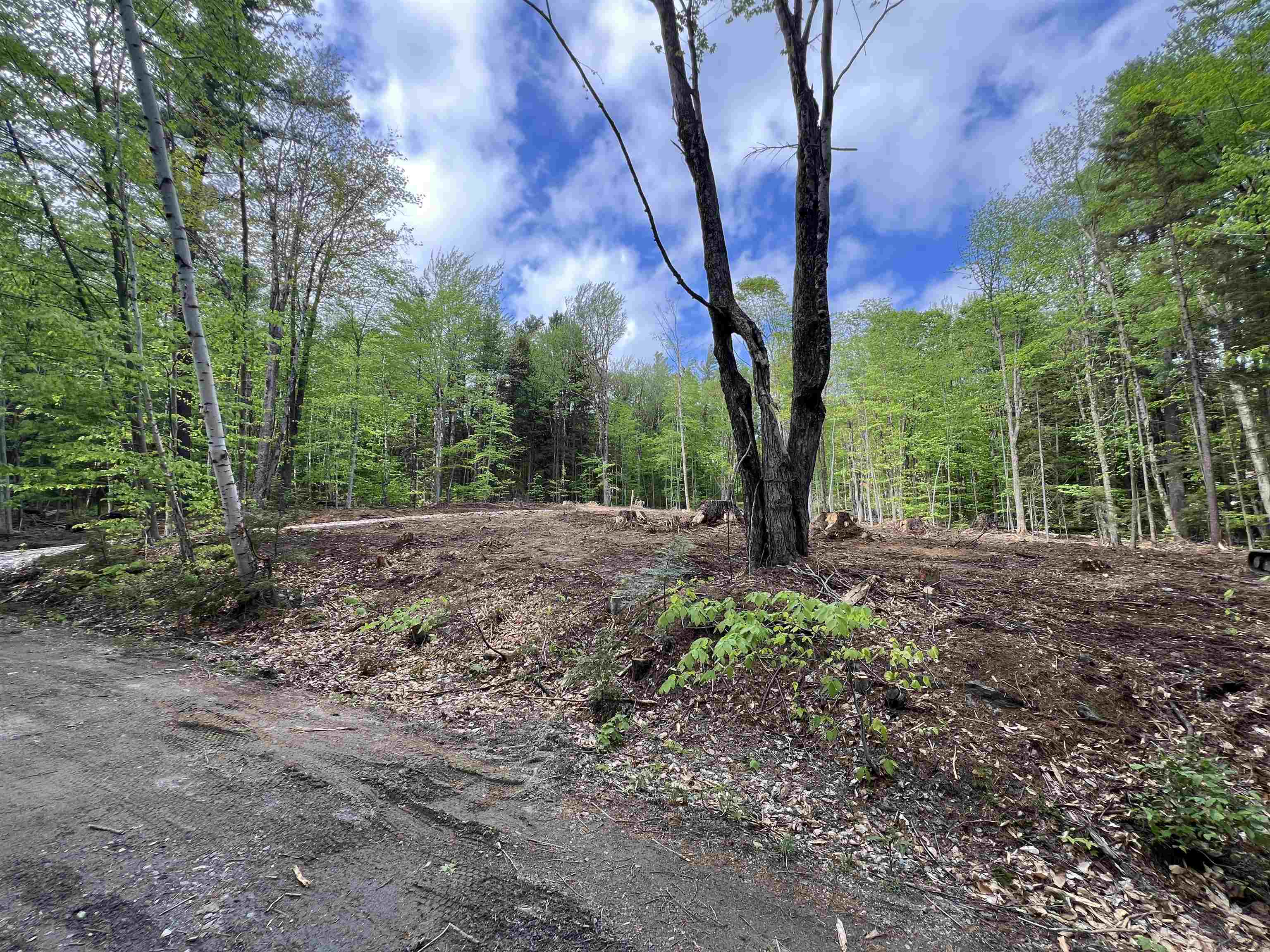 170 Maple Drive Wardsboro, VT 05360 - Photo 5 of 26