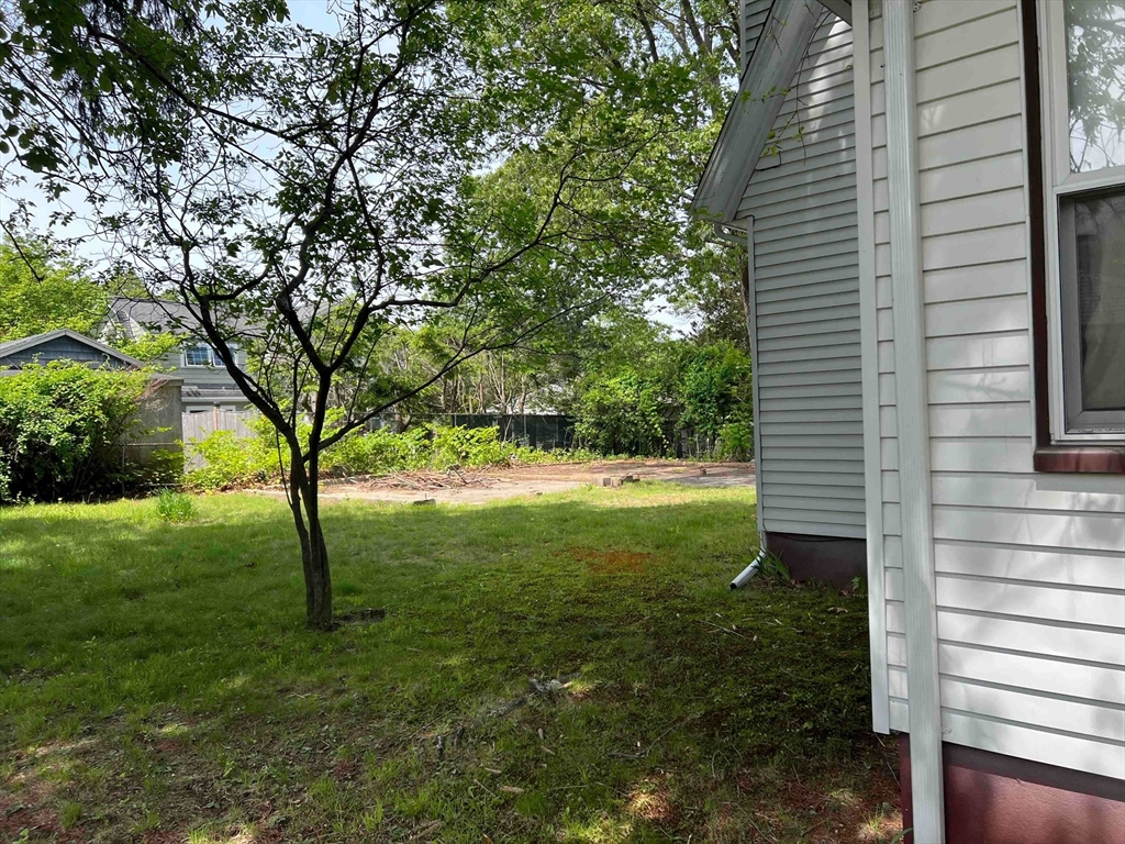 25 Kenyon Street Newton, MA 02465 - Photo 4 of 4 a view of backyard with large trees